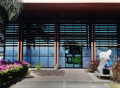 Efficacité fonctionnelle et esthétisme, l'adhesif dépoli sur vitre Efficacité fonctionnelle et esthétisme, l'adhesif dépoli sur vitre