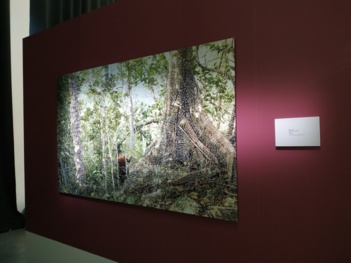 Participation à la réalisation de l'exposition Taïno du Memorial ACTe