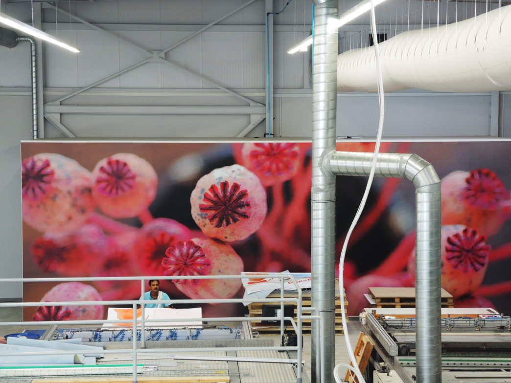 Dubois Imageries aux Abymes !