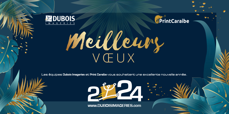 Meilleurs Voeux 2024 sous le signe de l'ENTHOUSIASME Meilleurs Voeux 2024 sous le signe de l'ENTHOUSIASME